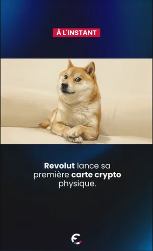Vidéo Upside sur Instagram