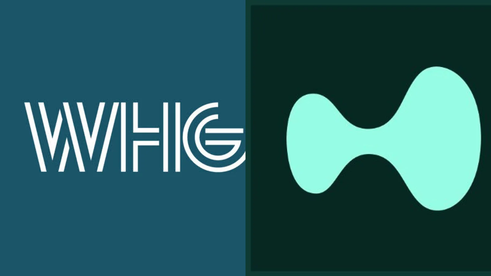ETF Hyperliquid : une société brésilienne WHG détient plus de parts que les grandes banques américaines