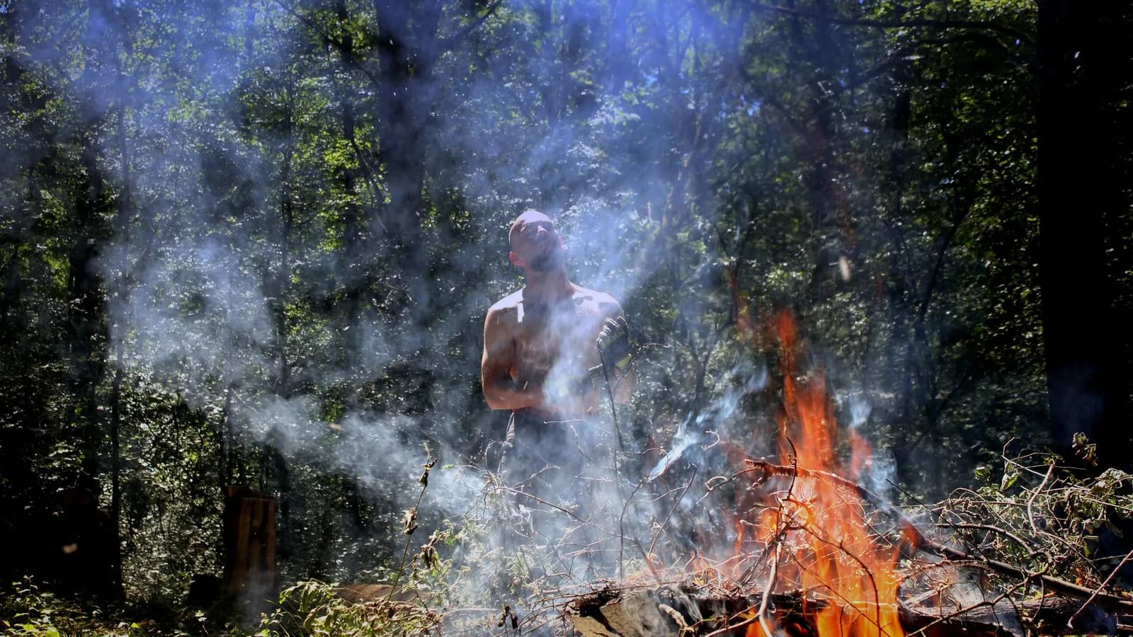Incendies de Gironde 2026 : replanter les forêts coûterait entre 200 et 400 millions d'euros, soit jusqu'à 6 965 BTC
