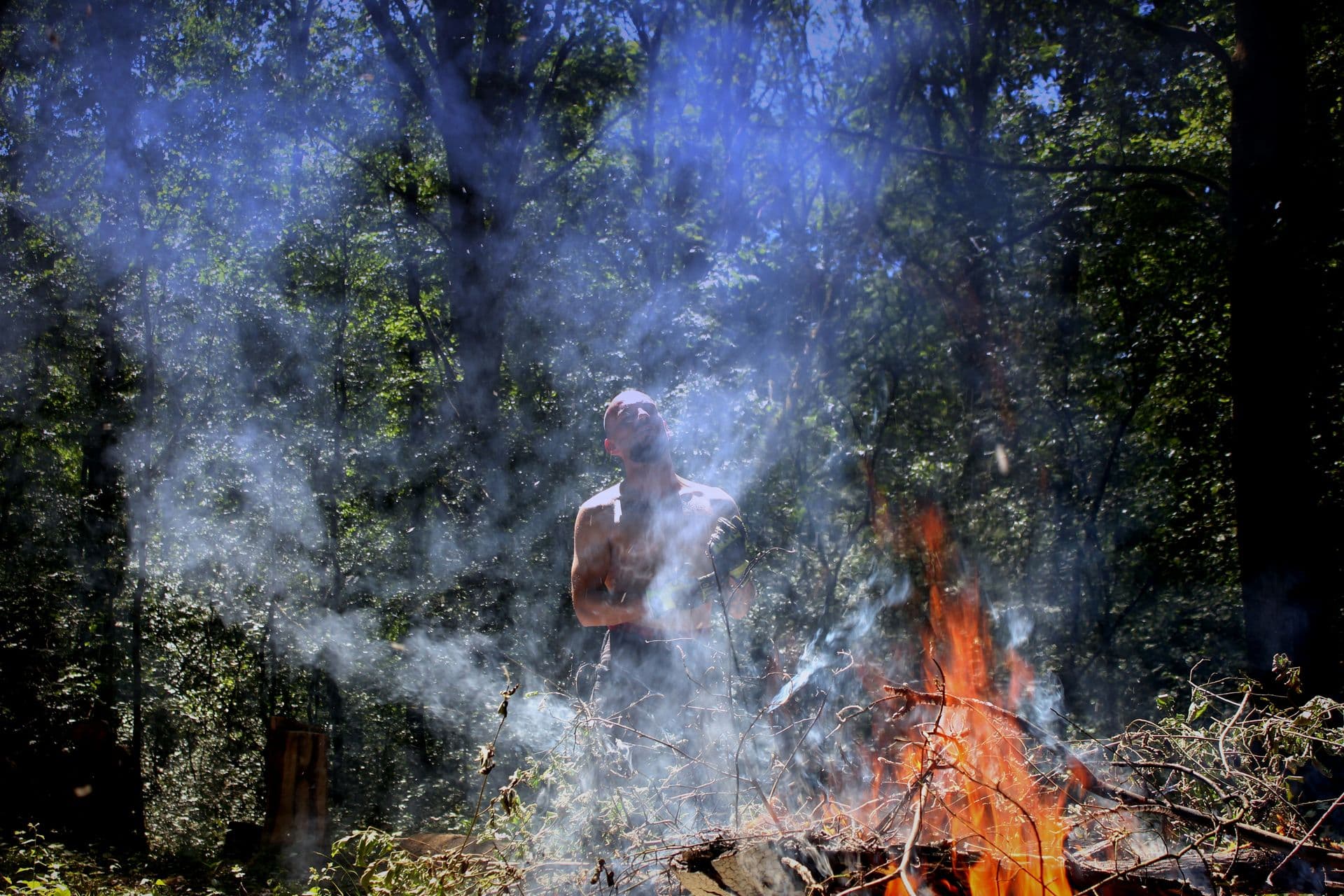 Incendies de Gironde 2026 : replanter les forêts coûterait entre 200 et 400 millions d'euros, soit jusqu'à 6 965 BTC
