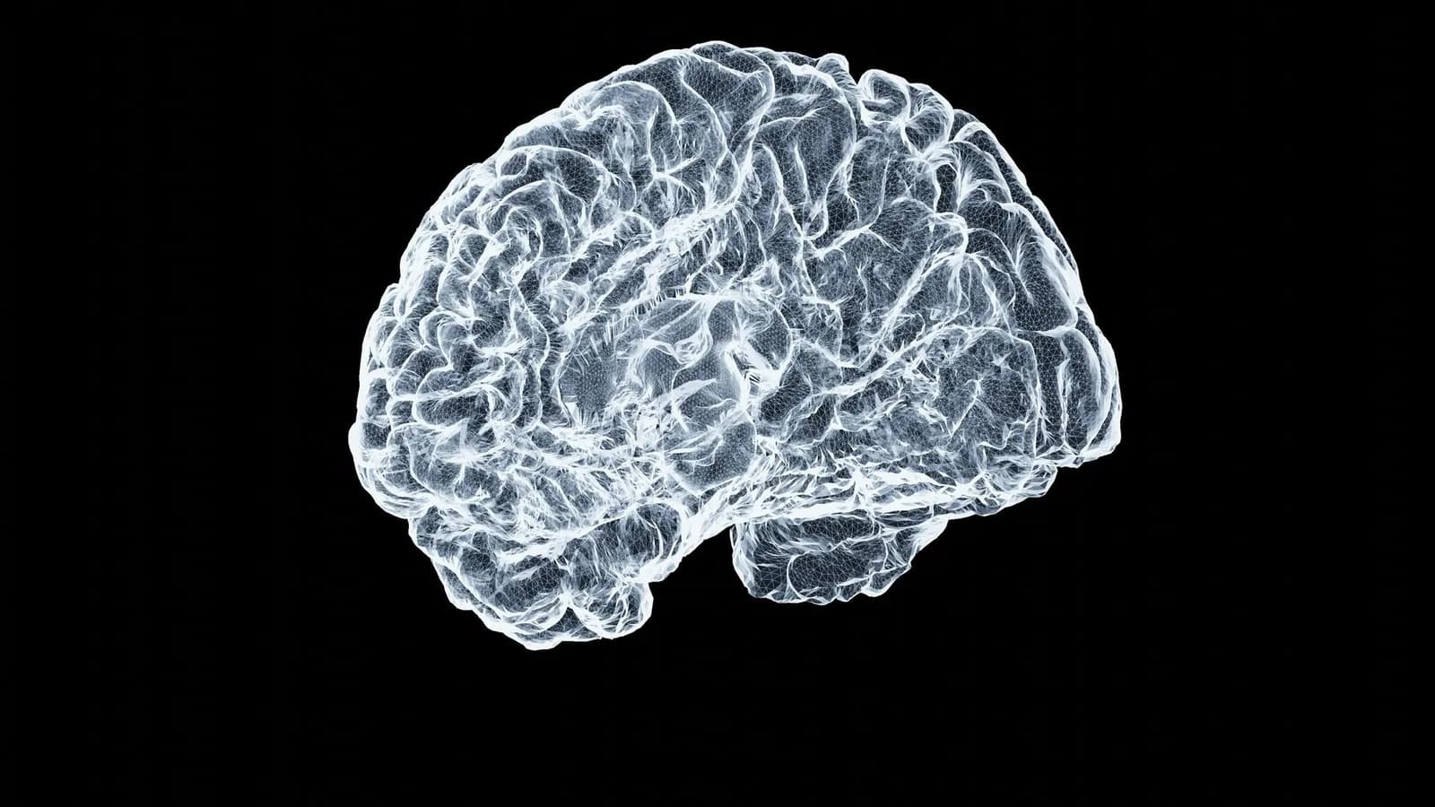 Neuralink Blindsight : Elon Musk annonce les premiers implants pour rendre la vue d'ici un an