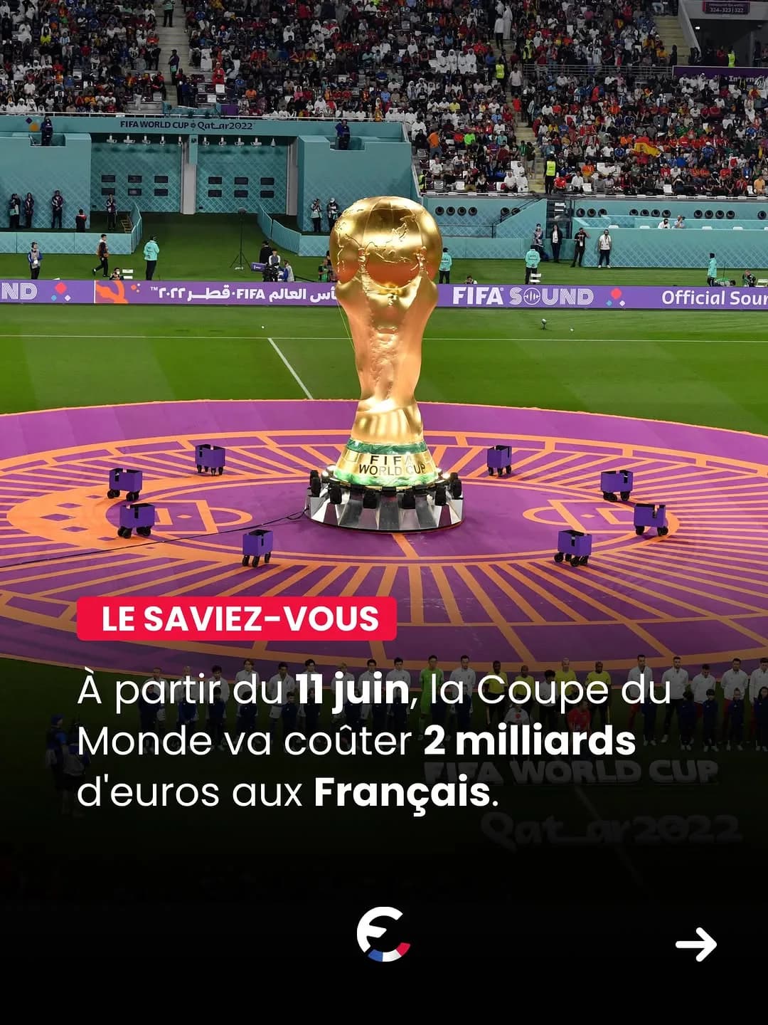 Coupe du Monde : 2 milliards d'euros de consommation - vue 1 sur 6